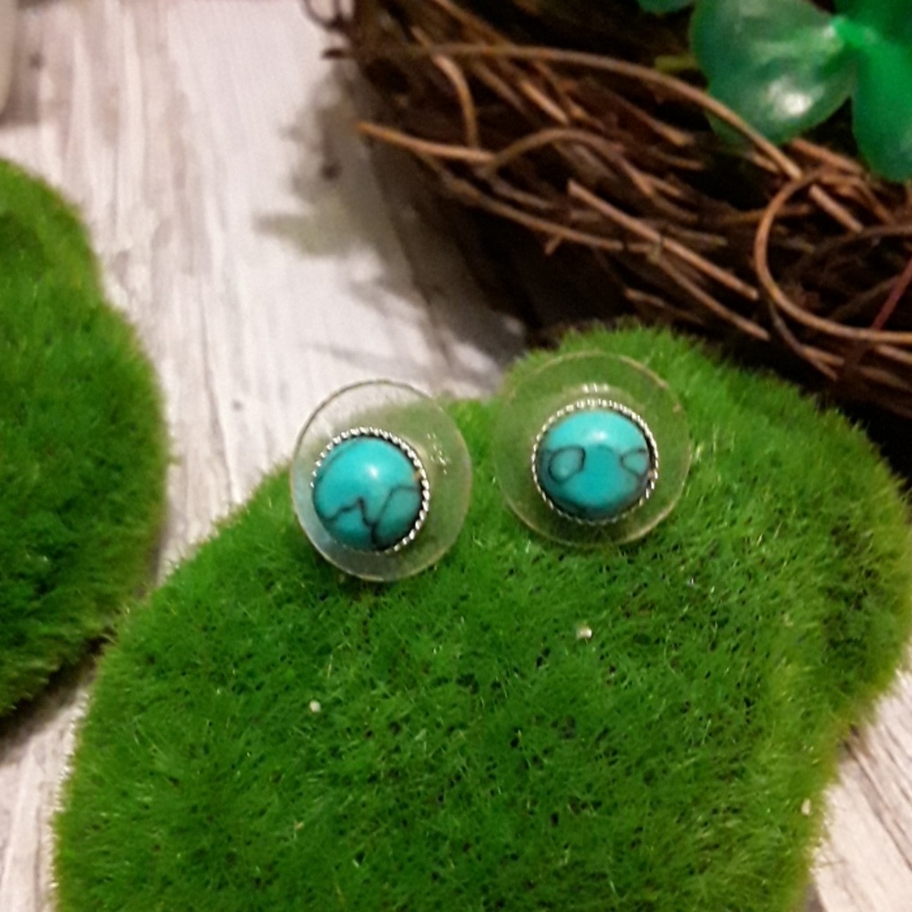 🍁Howlite studs